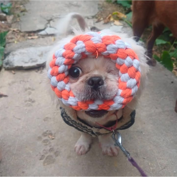 594413670_1393410116127966_6248955540283891075_n