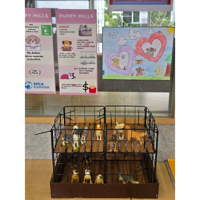 658842957_1490029876465989_4132079312440825515_n