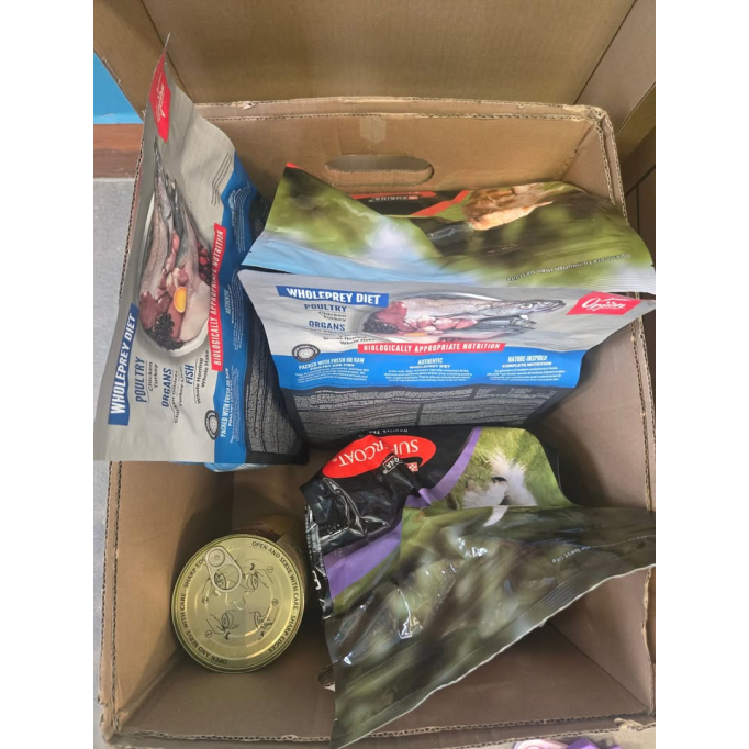 593887185_1393403166128661_1040263266413479909_n