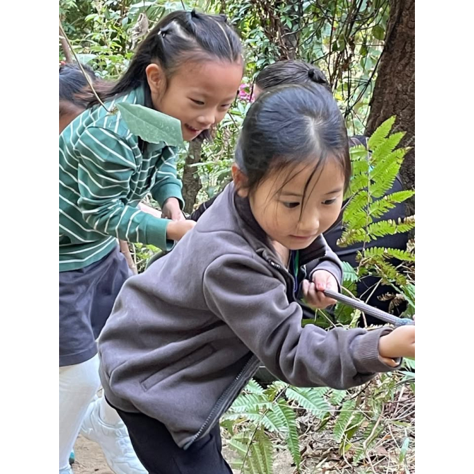 615563886_1430916055710705_4146706825356687232_n