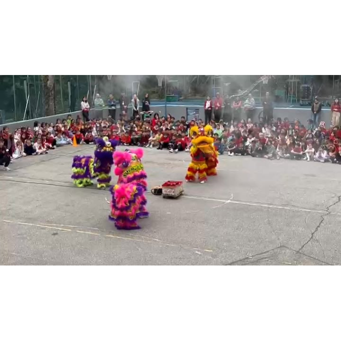 631378942_876667348487874_3342013488341100413_n